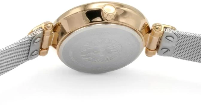 Часы  Anne Klein  Steel Anne Klein 3001SVRT (фото 4)