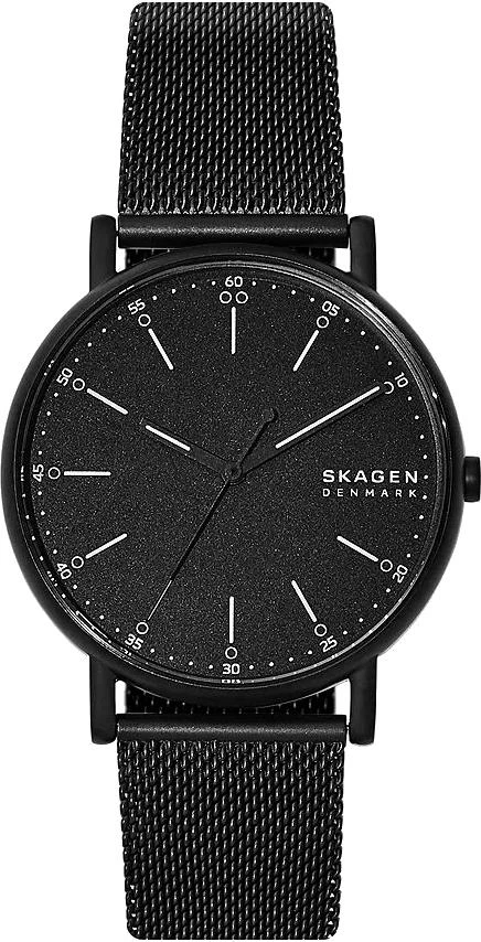 Наручные часы  Skagen  Steel Skagen SKW6579 (фото 1)