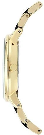Наручные часы  Anne Klein  Steel Anne Klein 1412BKGB (фото 3)