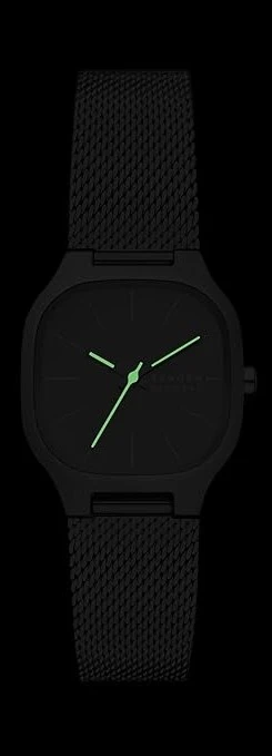 Наручные часы  Skagen  Mellem Skagen SKW3163 (фото 5)