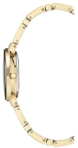 Наручные часы  Anne Klein  Steel Anne Klein 3190CHGB (фото 3)