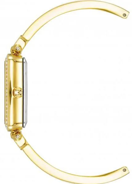 Наручные часы  Anne Klein  Plastic Anne Klein 3898TNST (фото 2)