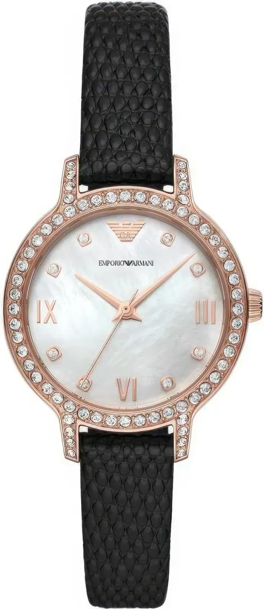 Наручные часы  Emporio Armani  Classics Emporio Armani AR11485 (фото 1)