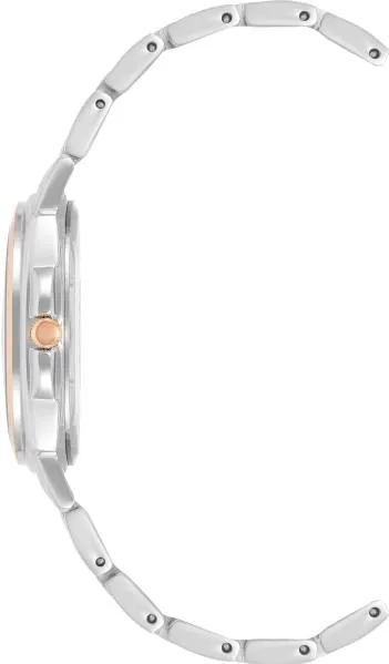 Наручные часы  Anne Klein  Ceramic Anne Klein 4055WTRT (фото 2)