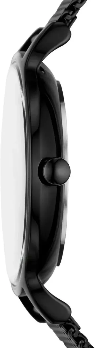 Наручные часы  Skagen  Anita Skagen SKW3112 (фото 2)