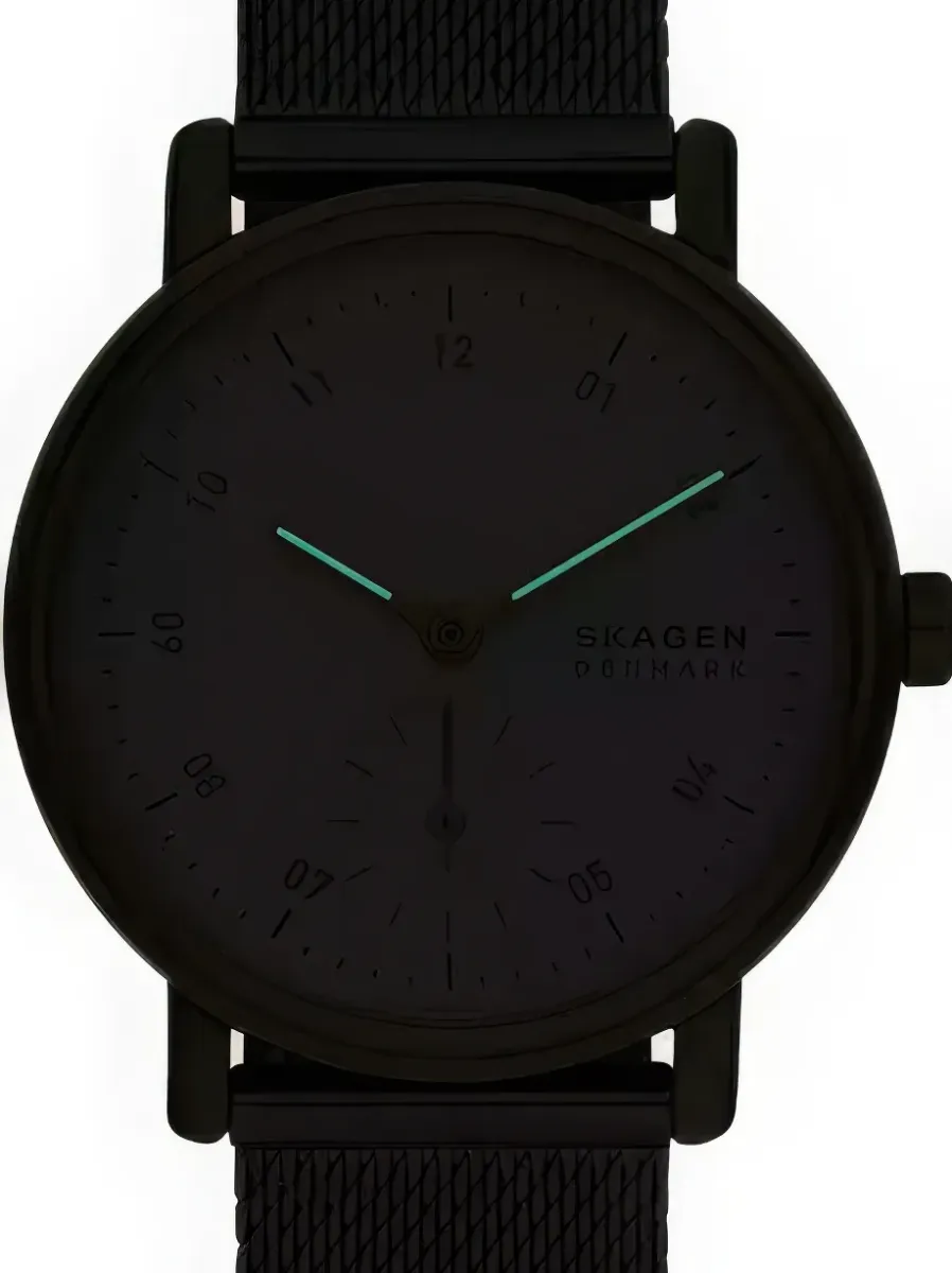 Наручные часы  Skagen  Kuppel Skagen SKW3101 (фото 3)