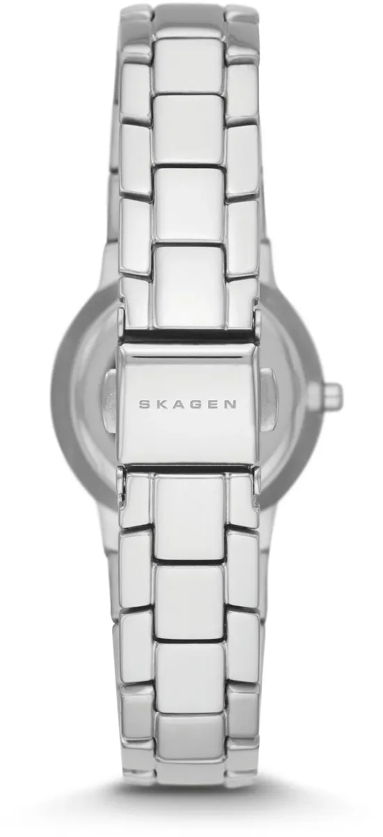 Наручные часы  Skagen  Steel Skagen SKW2180 (фото 2)