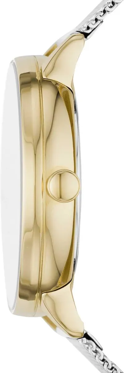 Наручные часы  Skagen  Riis Skagen SKW2912 (фото 2)