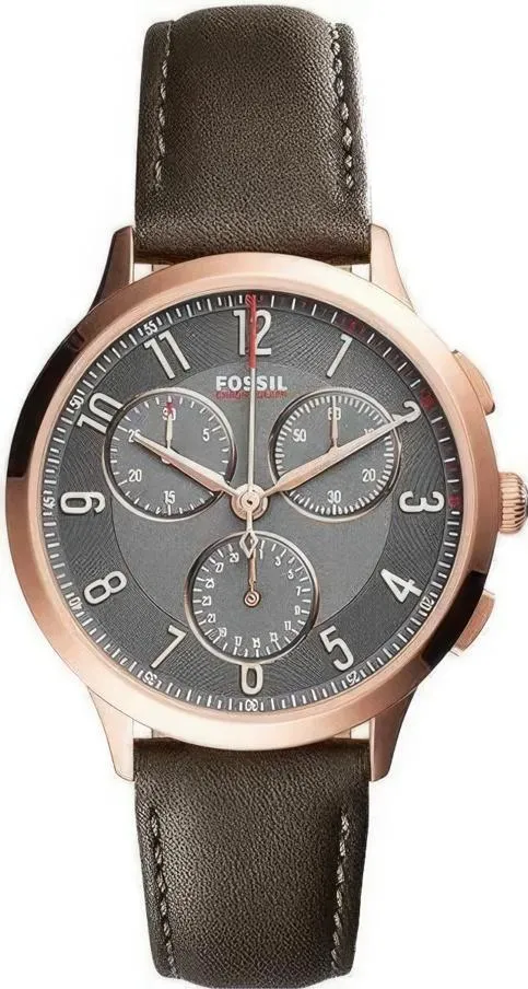 Наручные часы  Fossil  Chronograph Fossil CH3099 (фото 1)