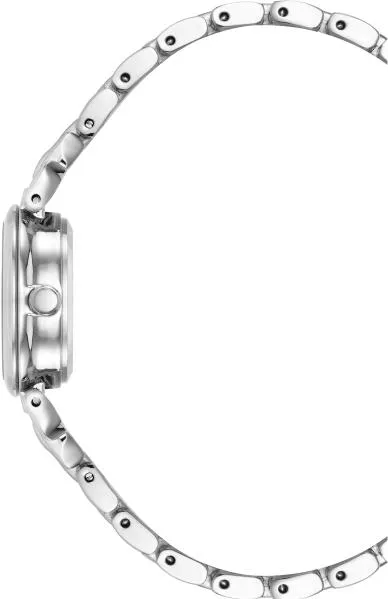 Наручные часы  Anne Klein  Box Set Anne Klein 4145SVST (фото 2)