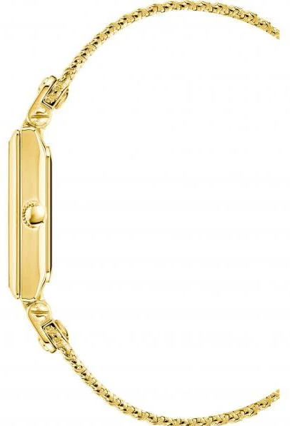 Наручные часы  Anne Klein  Steel Anne Klein 3882CHGB (фото 2)