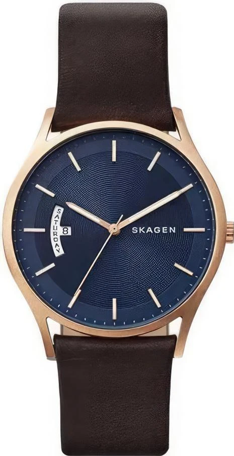 Наручные часы  Skagen  Leather Skagen SKW6395 (фото 1)