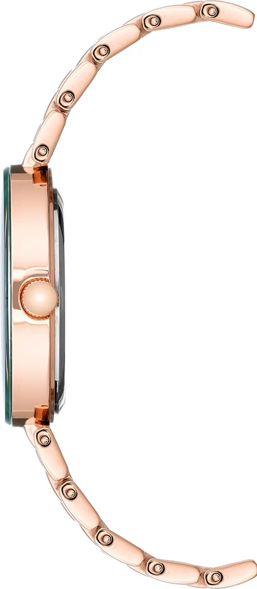 Наручные часы  Anne Klein  Steel Anne Klein 1362GNRG (фото 3)