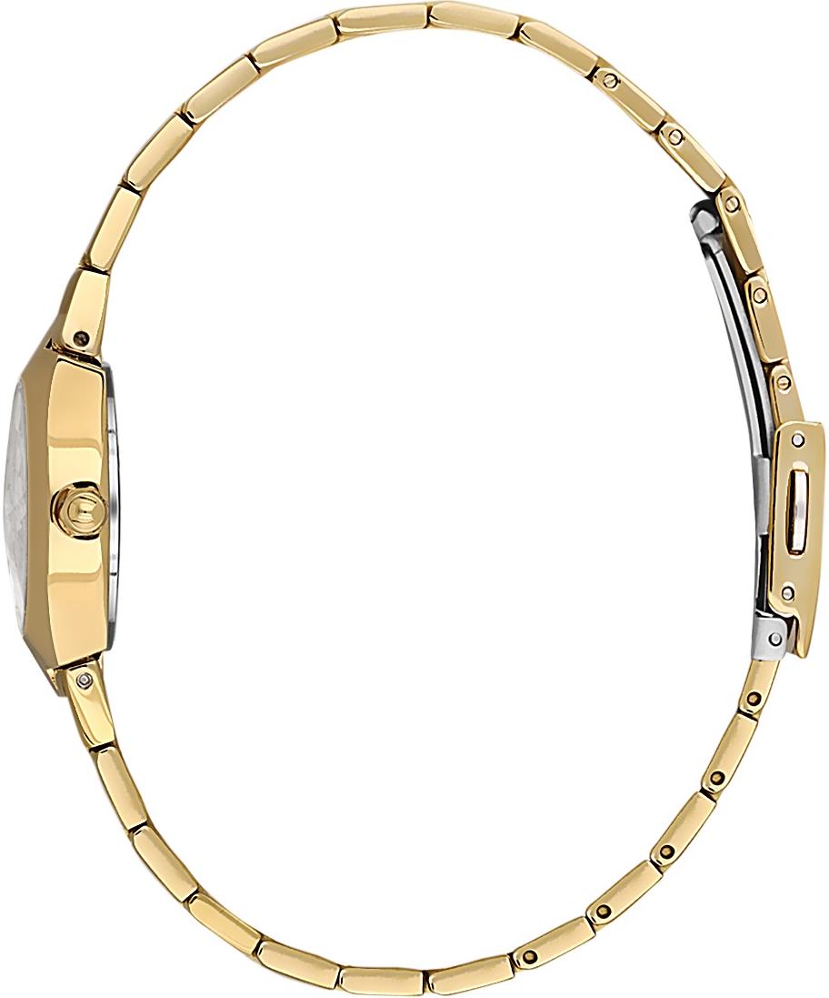 Наручные часы  Daniel Klein  Premium Daniel Klein 14161-3 (фото 2)