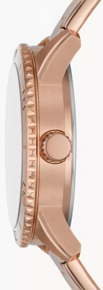 Наручные часы  Fossil  Dayle Fossil BQ3886 (фото 2)