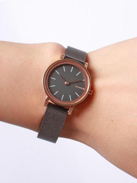 Наручные часы  Skagen  Steel Women Skagen SKW2492 (фото 3)