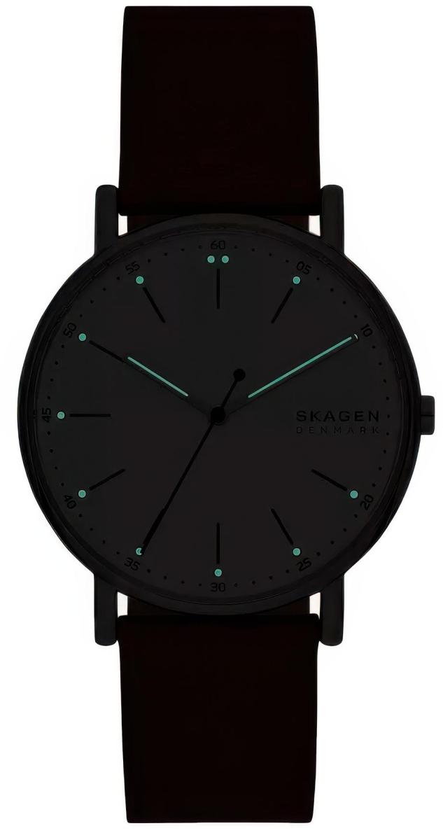 Наручные часы  Skagen  Signatur Skagen SKW6903 (фото 4)