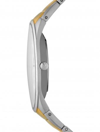 Наручные часы  Skagen  Steel Skagen SKW6060 (фото 2)