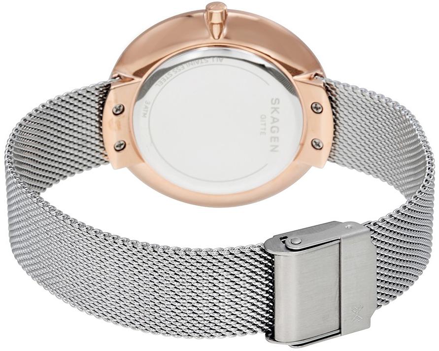 Наручные часы  Skagen  Steel Women Skagen SKW2583 (фото 2)