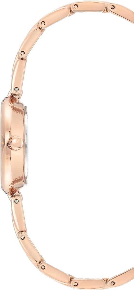 Наручные часы  Anne Klein  Steel Anne Klein 3598RGST (фото 2)