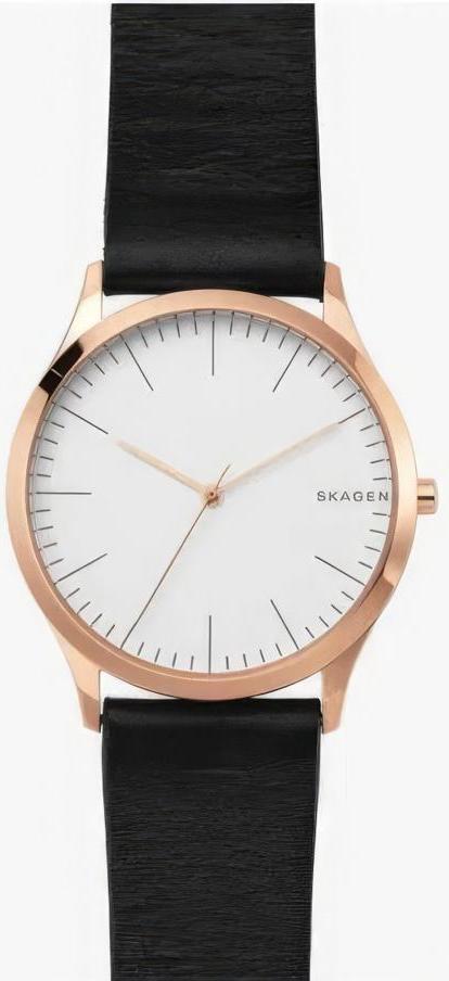 Наручные часы  Skagen  Leather Skagen SKW1102 (фото 1)