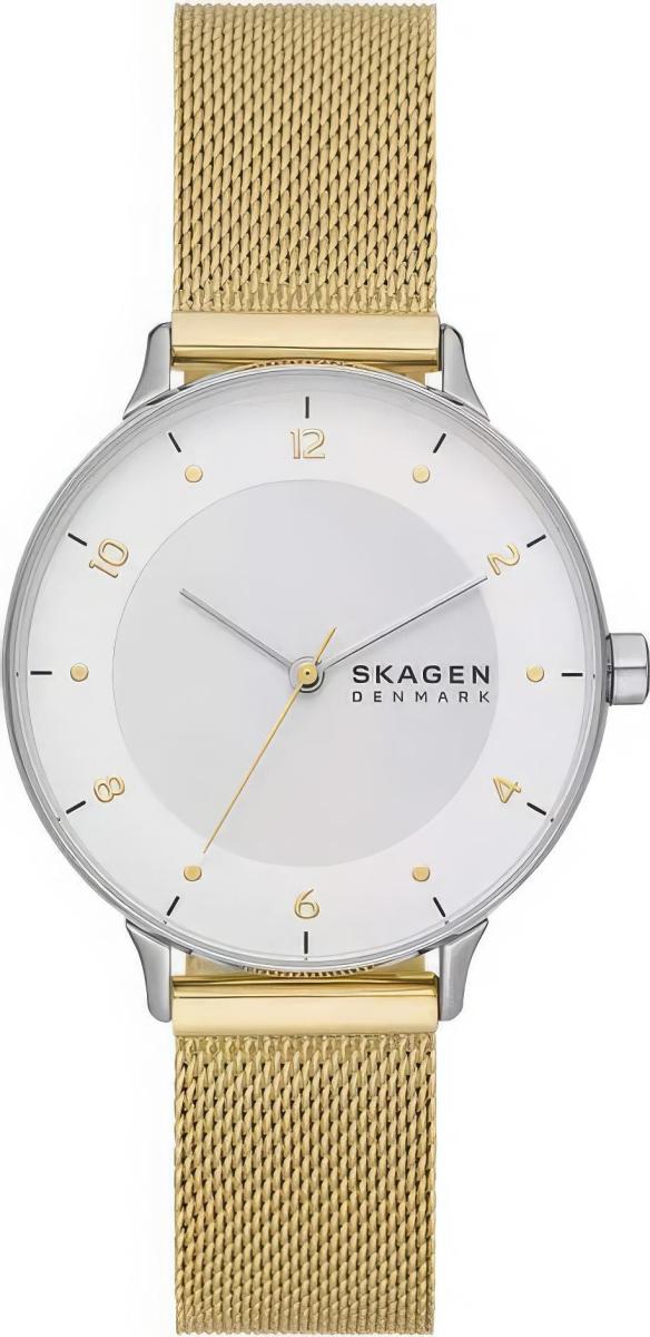 Наручные часы  Skagen  Riis Skagen SKW3092 (фото 1)