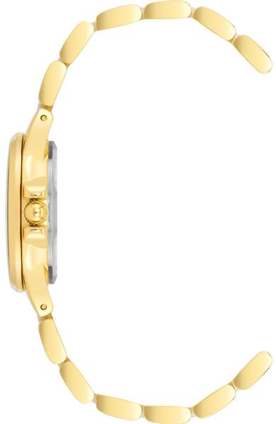 Наручные часы  Anne Klein  Diamond Anne Klein 4118WTGB (фото 2)