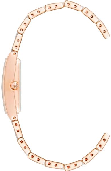 Наручные часы  Anne Klein  Plastic Anne Klein 3998LPRG (фото 2)