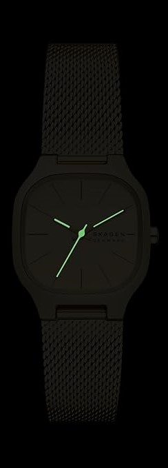 Наручные часы  Skagen  Mellem Skagen SKW3164 (фото 4)