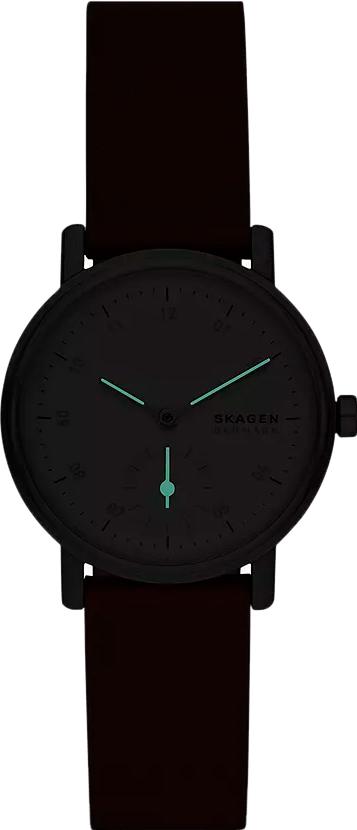 Наручные часы  Skagen  Kuppel Skagen SKW3103 (фото 2)
