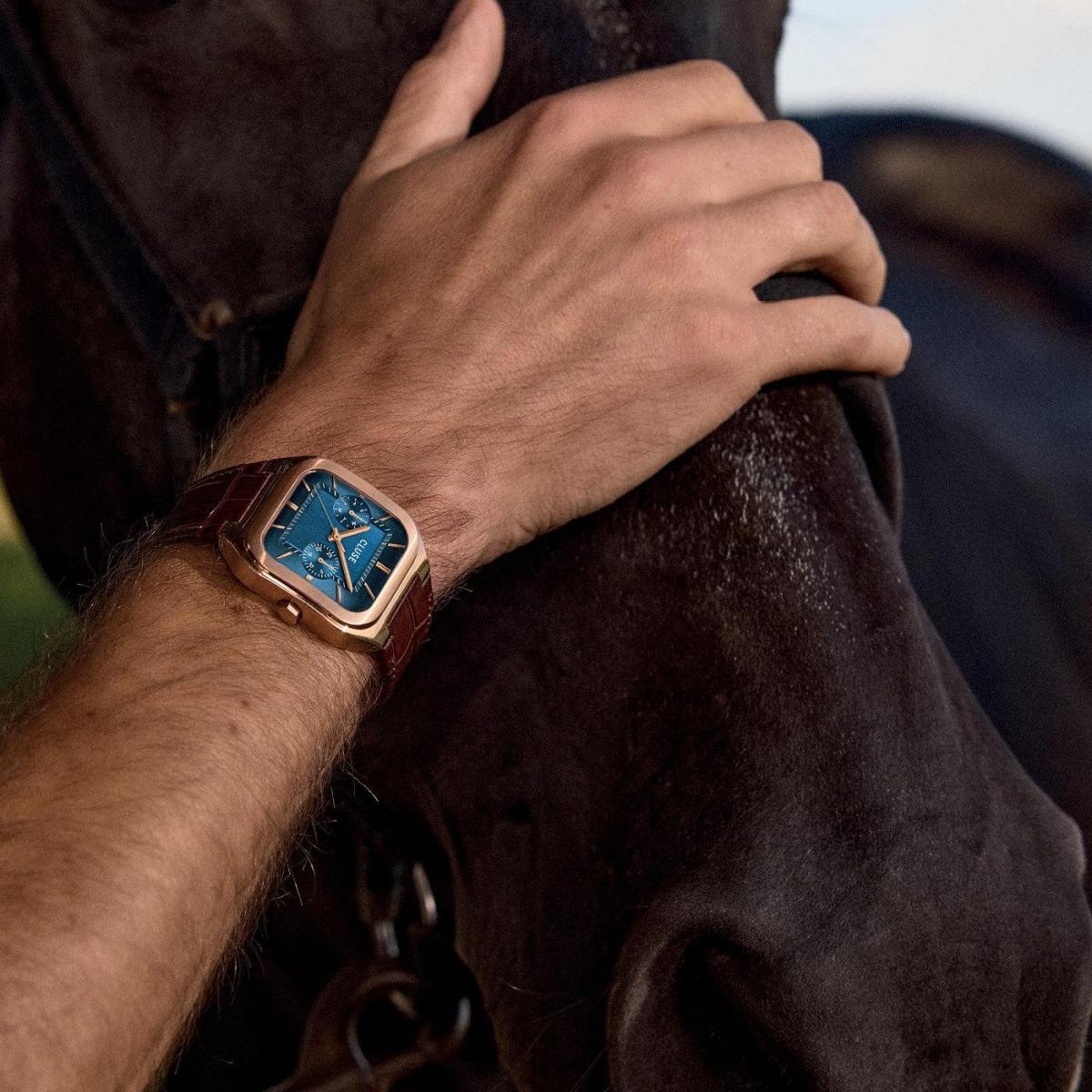 Наручные часы  Cluse  Quadrus Cluse CW26204 (фото 3)