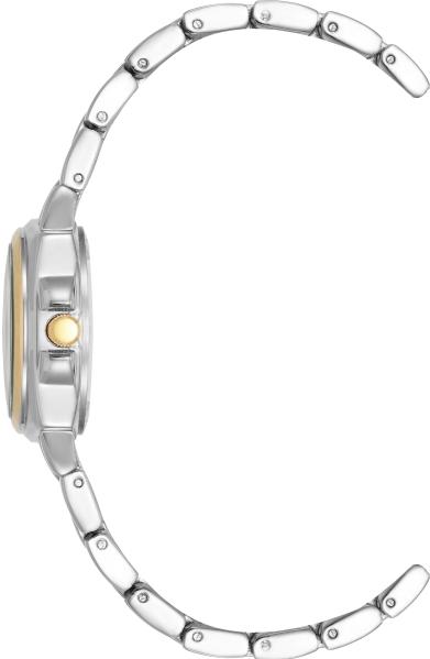 Наручные часы  Anne Klein  Steel Anne Klein 4167WTTT (фото 2)