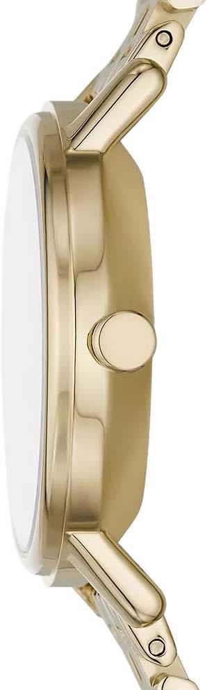 Наручные часы  Skagen  Kuppel Skagen SKW3102 (фото 3)