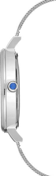 Наручные часы  Anne Klein  Steel Anne Klein 2989SVSV (фото 3)