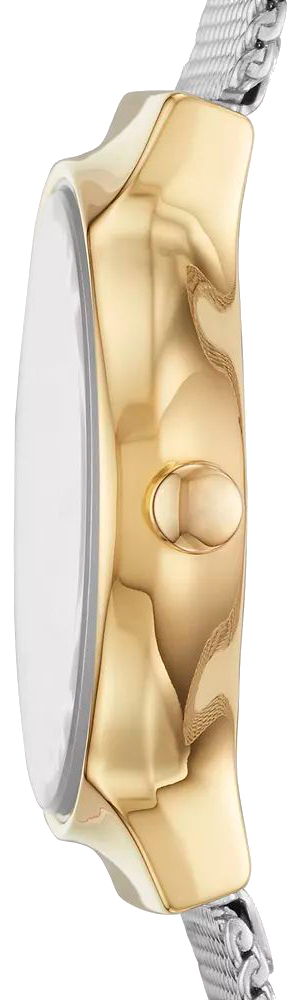 Наручные часы  Skagen  Freja Skagen SKW2666 (фото 3)