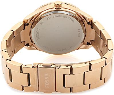 Наручные часы  Fossil  Multifunction Fossil ES3590 (фото 2)