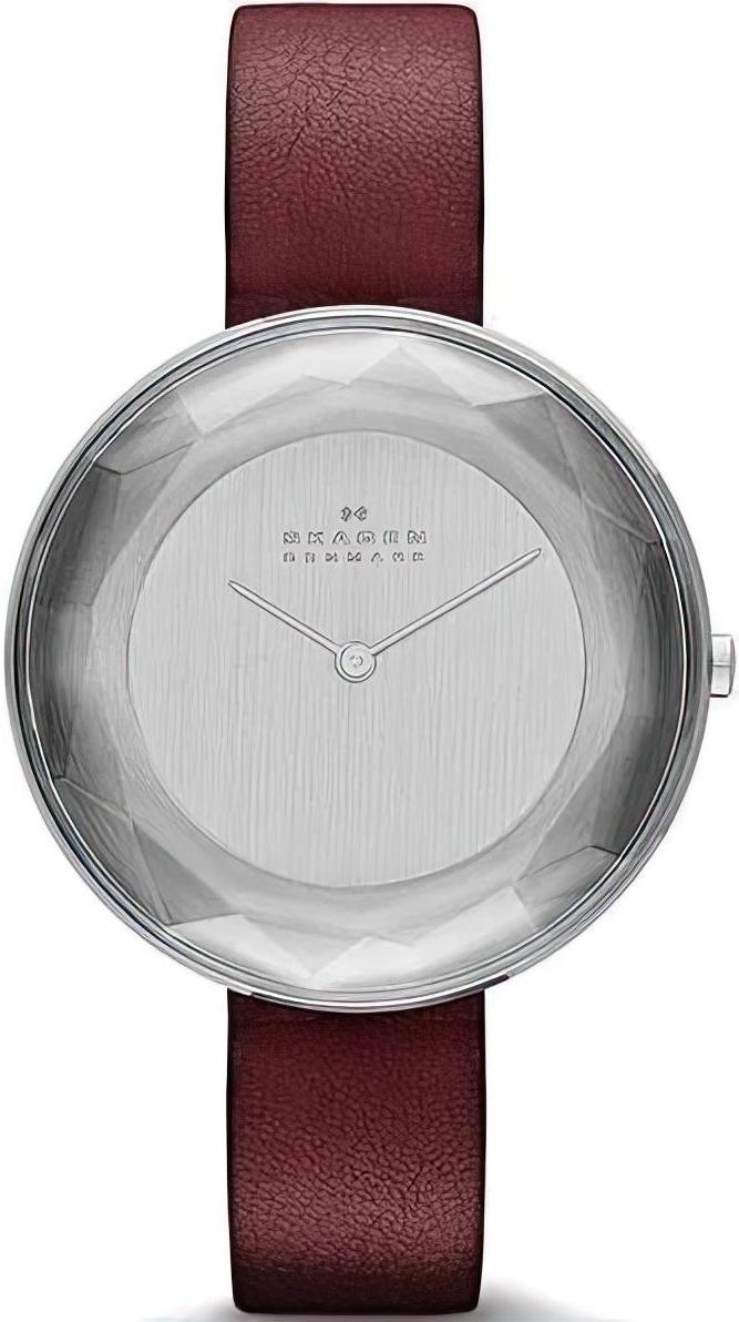 Наручные часы  Skagen  Leather Skagen SKW2273 (фото 1)