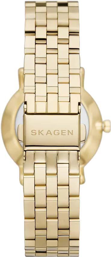 Наручные часы  Skagen  Aaren Skagen SKW3102 (фото 4)