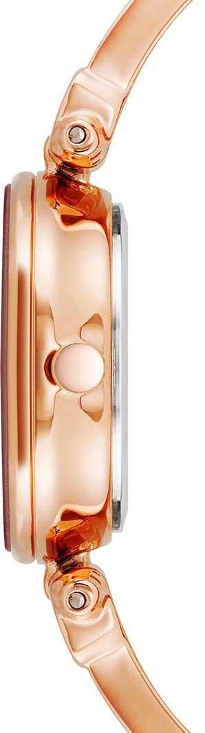 Наручные часы  Anne Klein  Diamond Anne Klein 1980BYRG (фото 2)