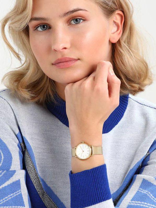 Наручные часы  Skagen  Steel Women Skagen SKW2693 (фото 3)