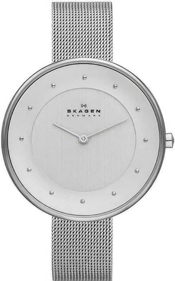 Наручные часы  Skagen  Steel Skagen SKW2140 (фото 1)
