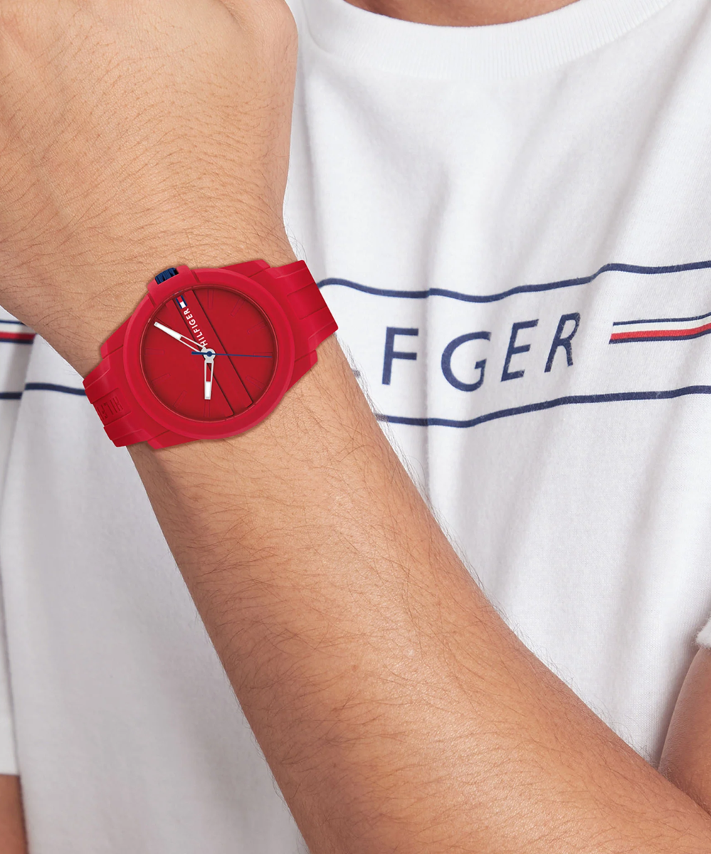 Наручные часы  Tommy Hilfiger  Austin Tommy Hilfiger 1710598 (фото 2)