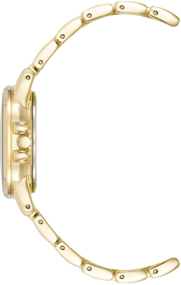 Наручные часы  Anne Klein  Metals Anne Klein 4132RAGB (фото 3)