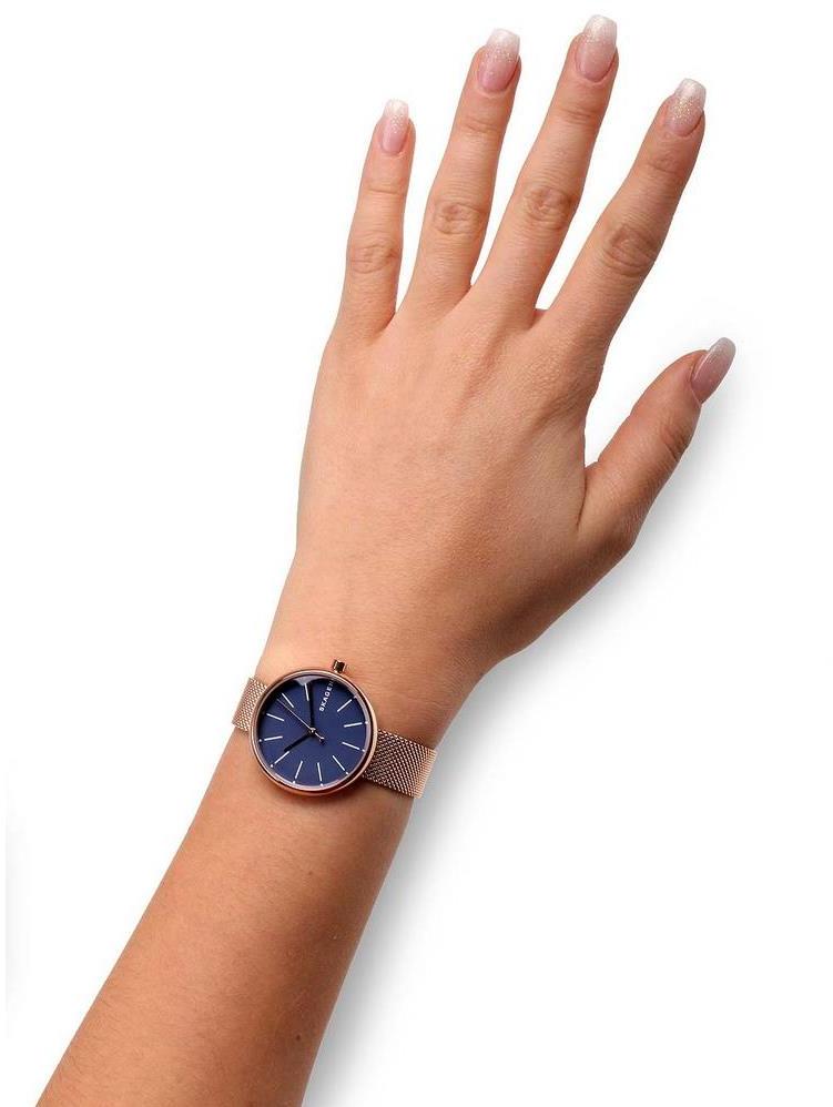 Наручные часы  Skagen  Steel Women Skagen SKW2593 (фото 3)