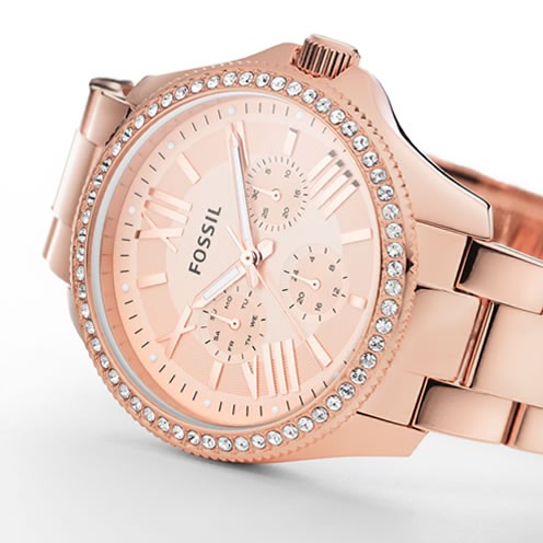 Наручные часы  Fossil  Multifunction Fossil AM4483 (фото 2)