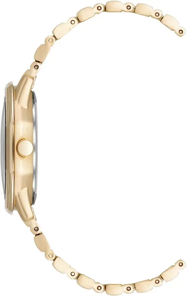Наручные часы  Anne Klein  Crystal Anne Klein 5028MPGB (фото 2)