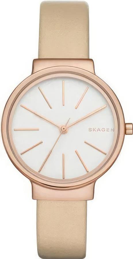 Наручные часы  Skagen  Leather Women Skagen SKW2481 (фото 1)