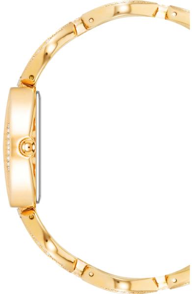 Наручные часы  Anne Klein  Crystal Anne Klein 4020MPGB (фото 2)