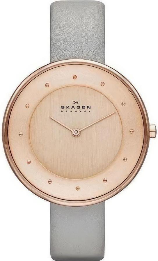 Наручные часы  Skagen  Leather Skagen SKW2139 (фото 1)