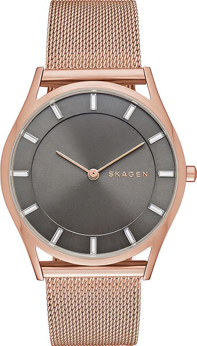 Наручные часы  Skagen  Steel Women Skagen SKW2378 (фото 1)